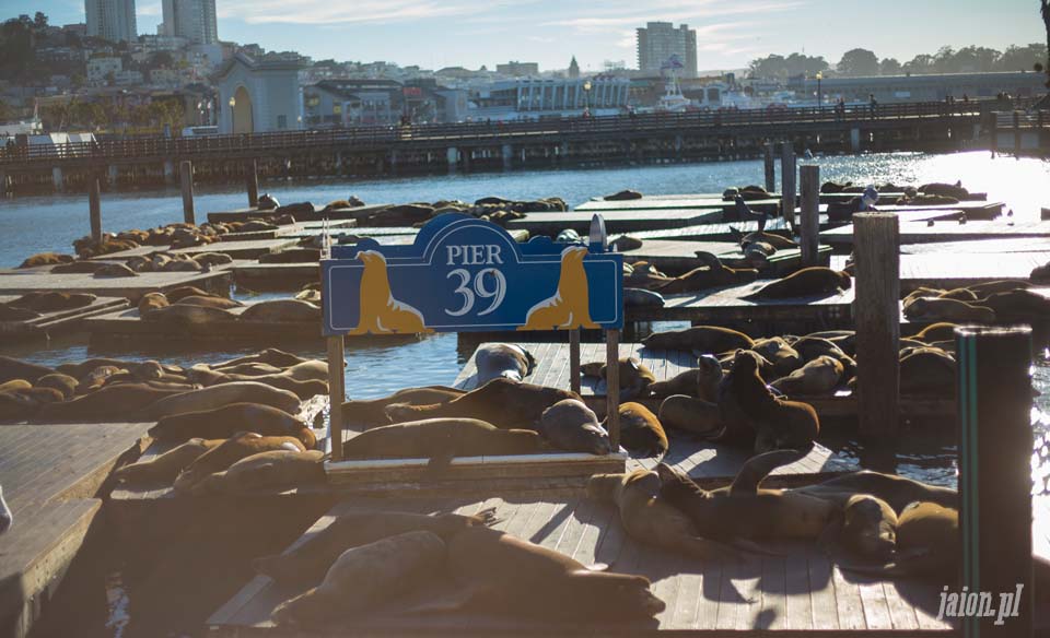 blog_o_usa_ameryce_san_francisco_ulice_miasto_ameryka_zwyczaje_pier39_port