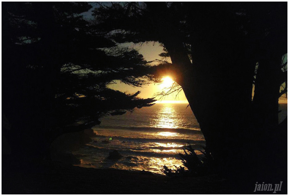 kalifornia_blog_usa_ameryka_11