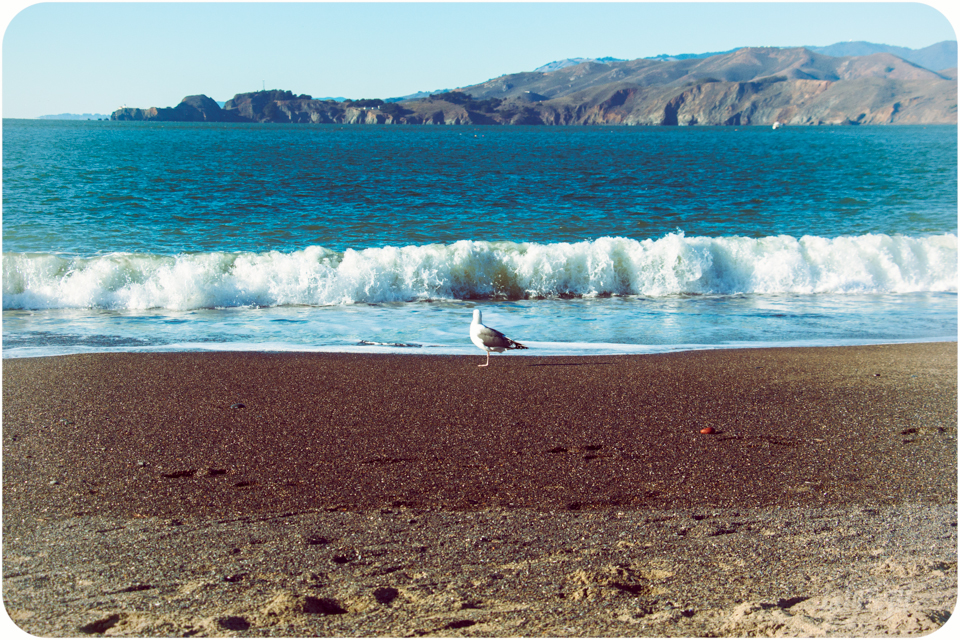 San Francisco, Golden Gate, California, USA, Ameryka, Bakers Beach