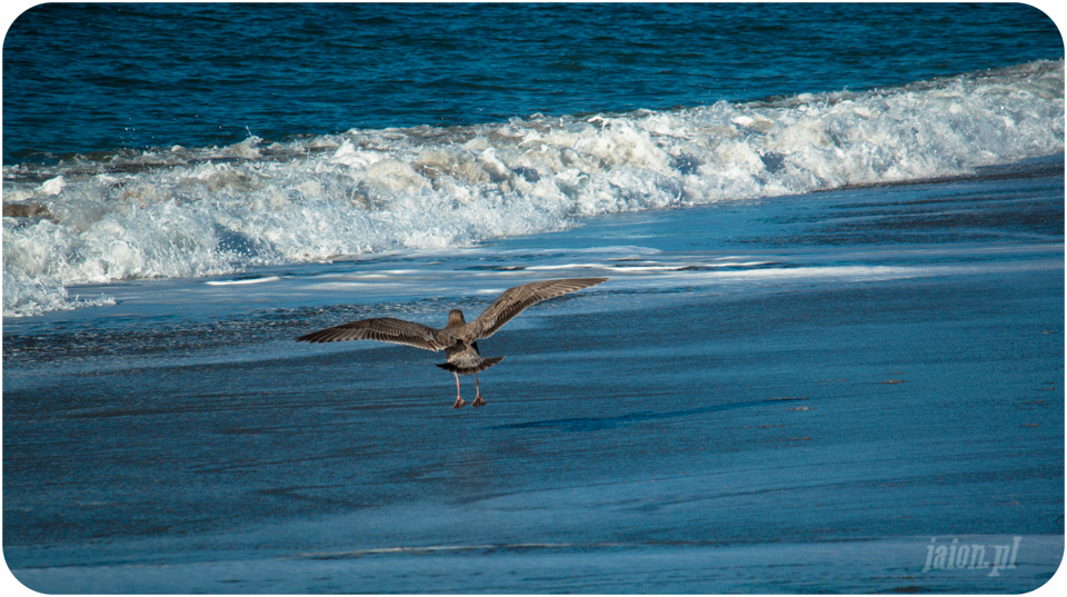 San Francisco, Golden Gate, California, USA, Ameryka, Bakers Beach