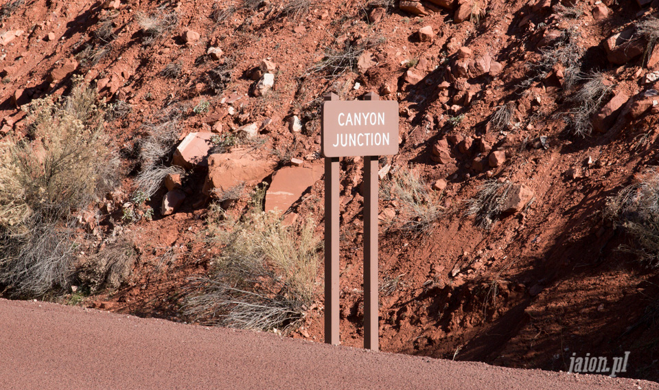Zion National Park Blog o Ameryce, Ameryka i USA