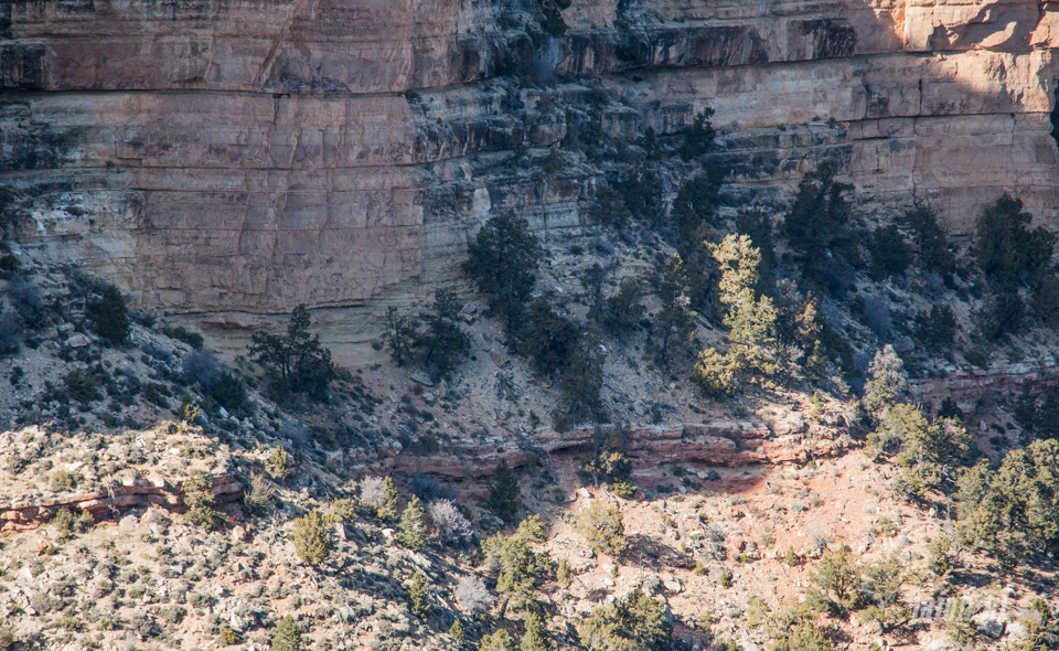 Blog o Ameryce i USA, Kalifornia, Ameryka, Grand Canyon