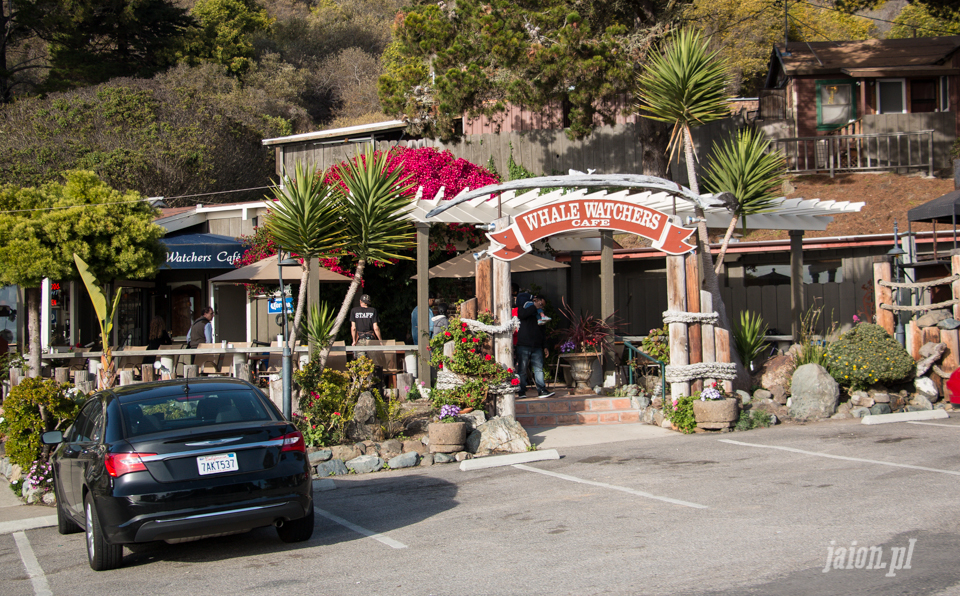 Ameryka, USA. Blog o Kalifornii. Big Sur i Highway no. 1.