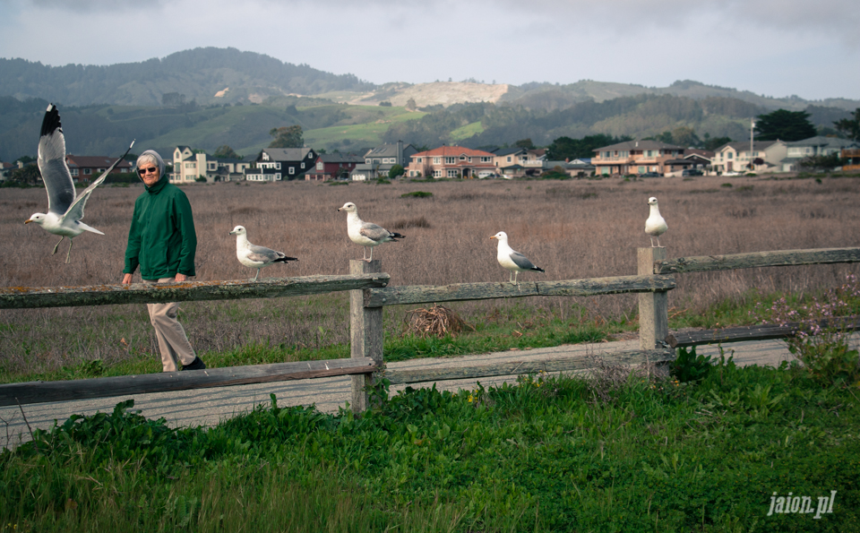 ameryka_blog_kalifornia_half_moon_bay_usa-3