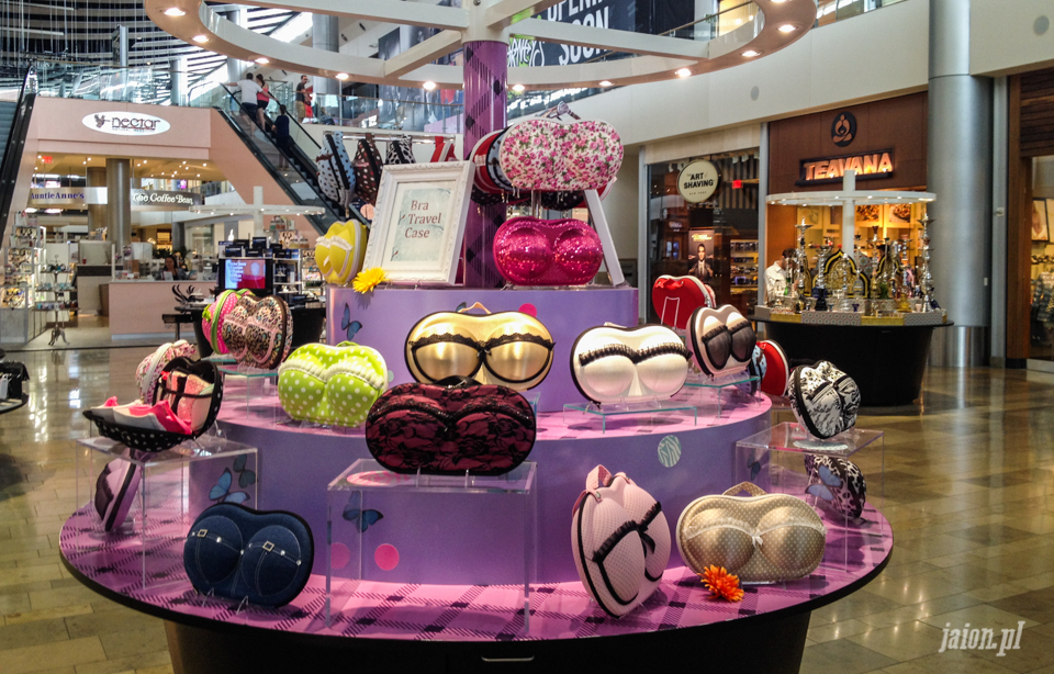ameryka_blog_kalifornia_las_vegas_usa-1-3