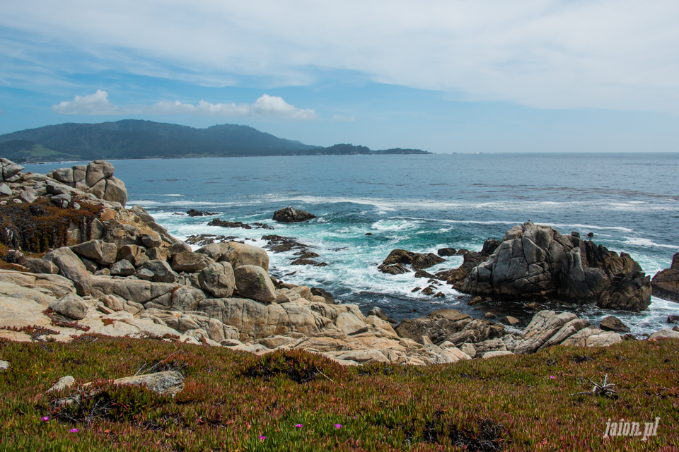 ameryka_usa_blog_big_sur_monterey_17_miles_drive_pacific_ocean-1