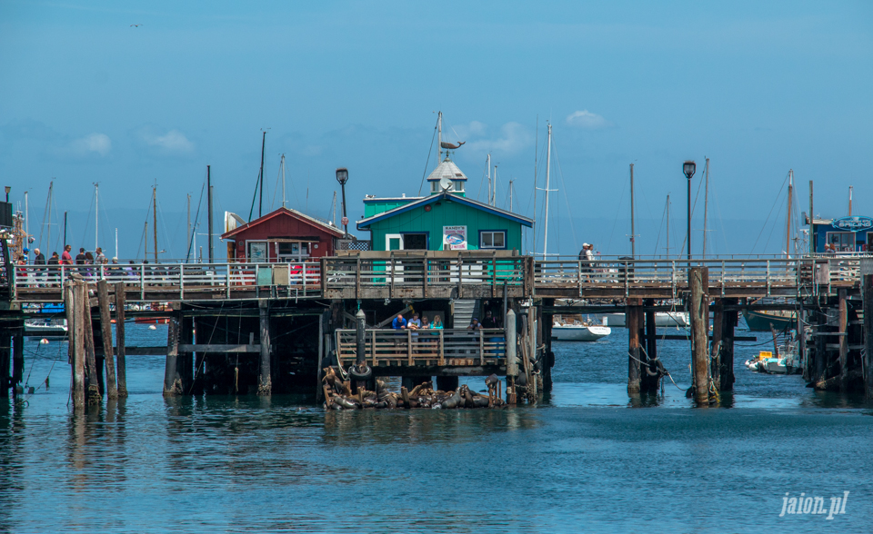 ameryka_usa_blog_big_sur_monterey_17_miles_drive_pacific_ocean-104