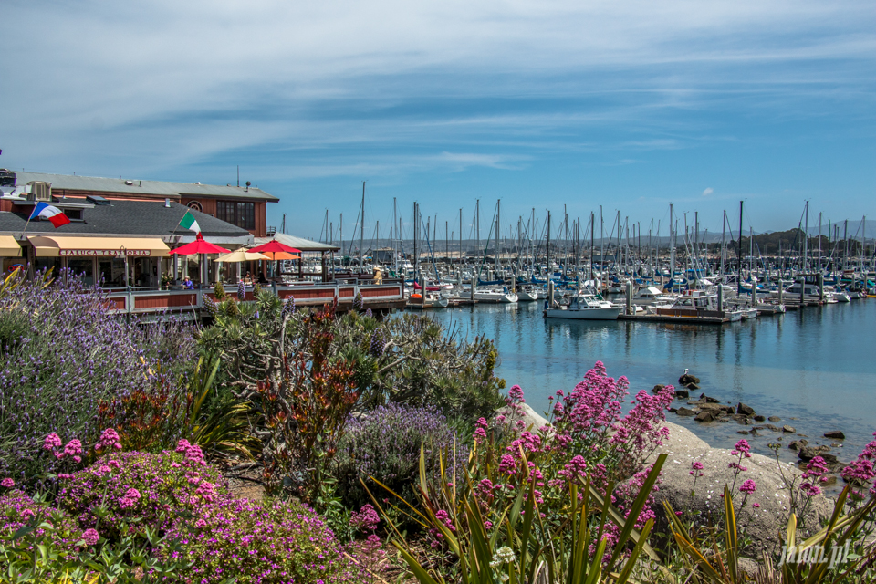 ameryka_usa_blog_big_sur_monterey_17_miles_drive_pacific_ocean-106