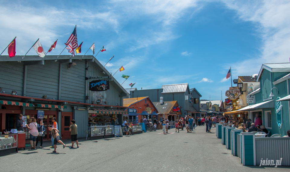 ameryka_usa_blog_big_sur_monterey_17_miles_drive_pacific_ocean-111