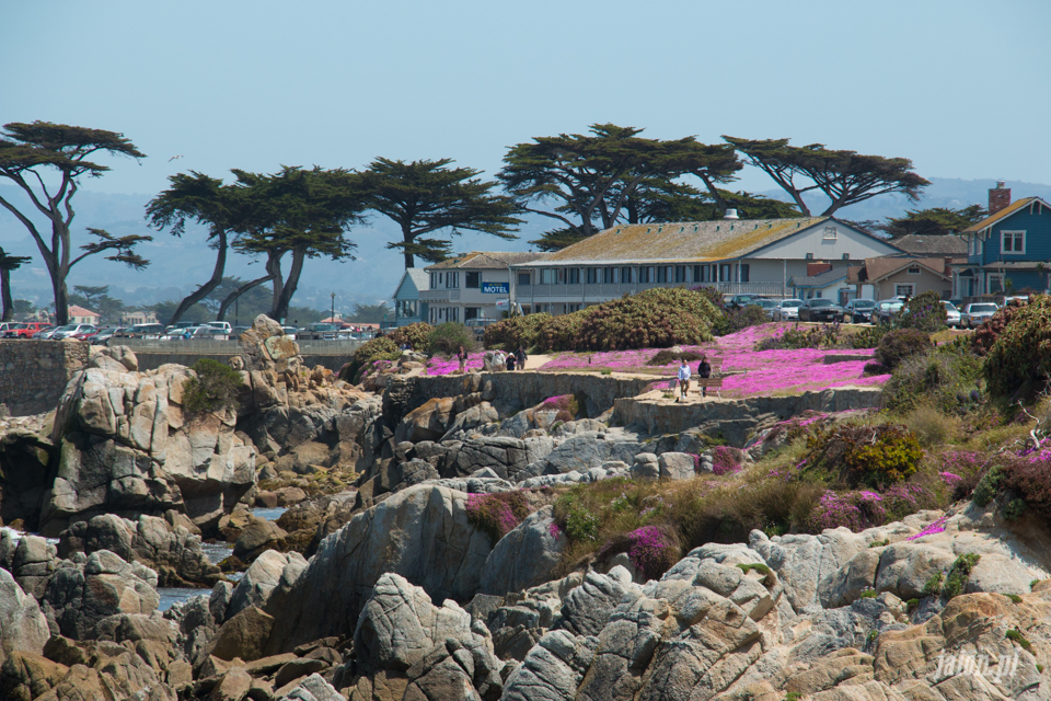 ameryka_usa_blog_big_sur_monterey_17_miles_drive_pacific_ocean-114