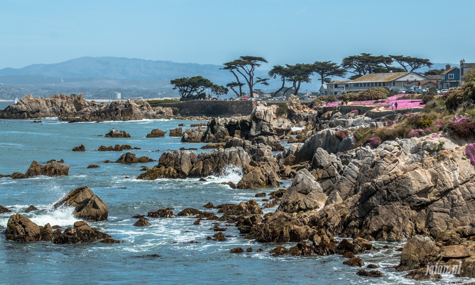 ameryka_usa_blog_big_sur_monterey_17_miles_drive_pacific_ocean-115