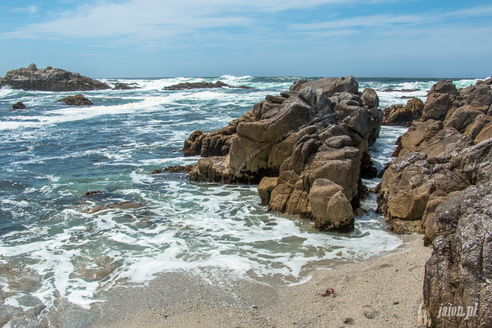 ameryka_usa_blog_big_sur_monterey_17_miles_drive_pacific_ocean-122