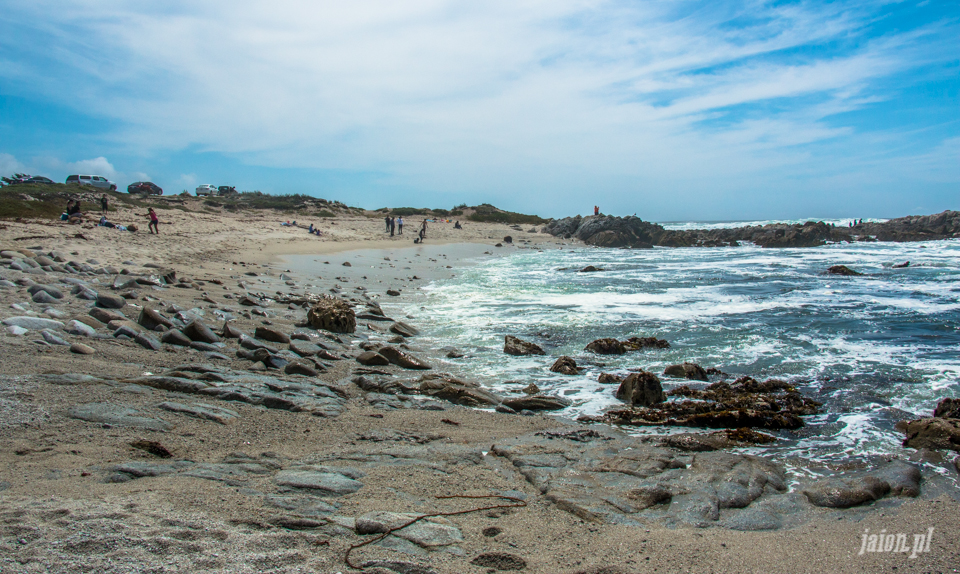 ameryka_usa_blog_big_sur_monterey_17_miles_drive_pacific_ocean-124