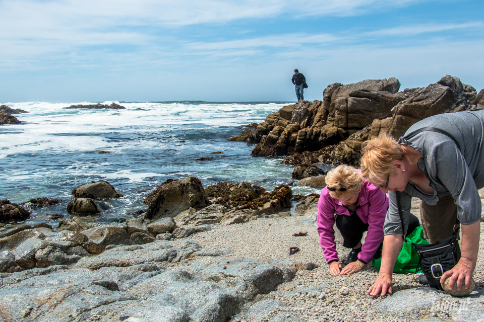 ameryka_usa_blog_big_sur_monterey_17_miles_drive_pacific_ocean-126