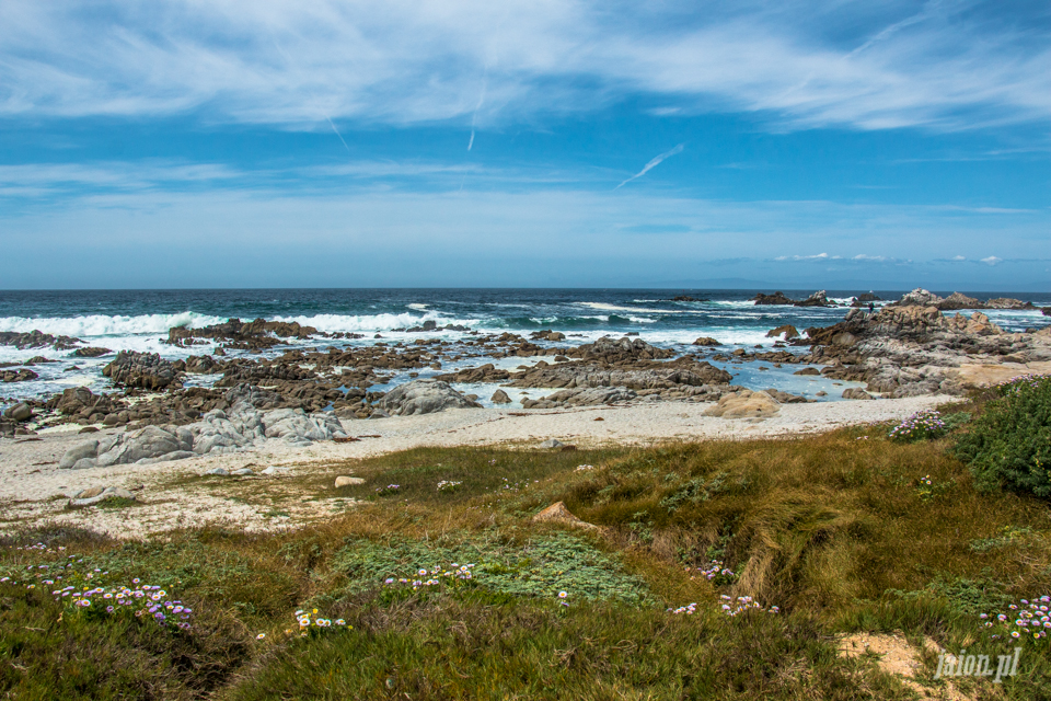 ameryka_usa_blog_big_sur_monterey_17_miles_drive_pacific_ocean-129