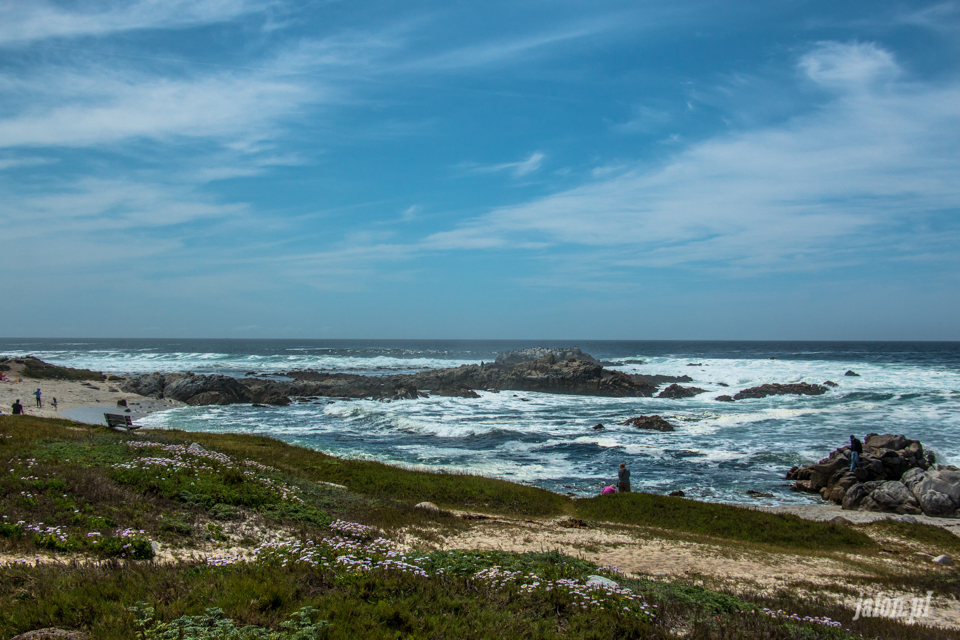 ameryka_usa_blog_big_sur_monterey_17_miles_drive_pacific_ocean-130