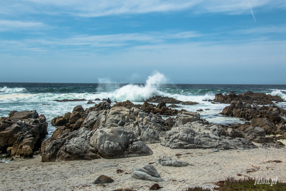 ameryka_usa_blog_big_sur_monterey_17_miles_drive_pacific_ocean-131