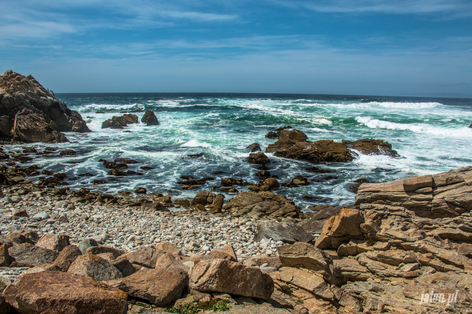 ameryka_usa_blog_big_sur_monterey_17_miles_drive_pacific_ocean-135