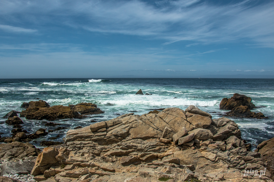 ameryka_usa_blog_big_sur_monterey_17_miles_drive_pacific_ocean-138