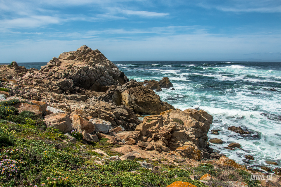 ameryka_usa_blog_big_sur_monterey_17_miles_drive_pacific_ocean-142