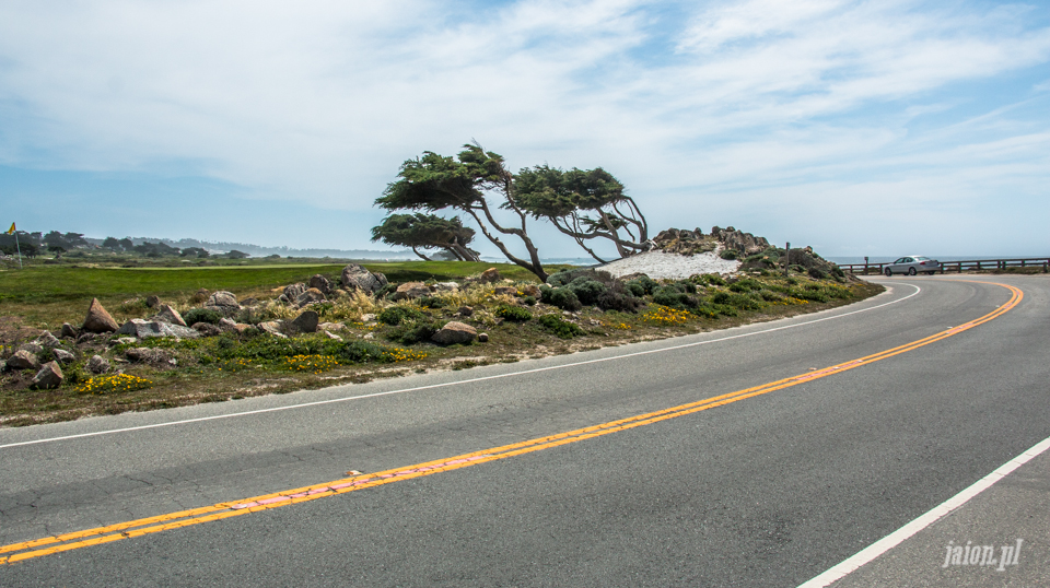 ameryka_usa_blog_big_sur_monterey_17_miles_drive_pacific_ocean-143