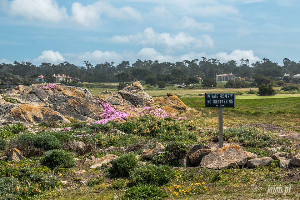 ameryka_usa_blog_big_sur_monterey_17_miles_drive_pacific_ocean-144