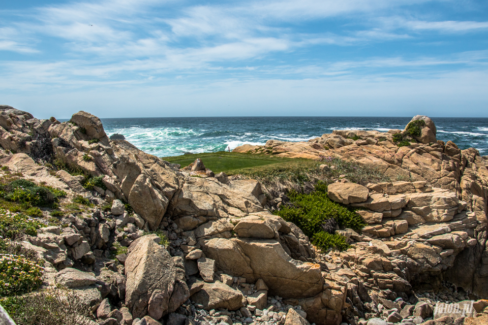 ameryka_usa_blog_big_sur_monterey_17_miles_drive_pacific_ocean-145