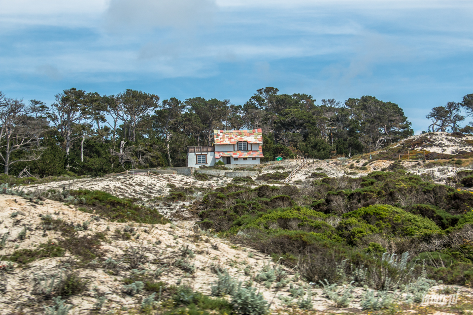 ameryka_usa_blog_big_sur_monterey_17_miles_drive_pacific_ocean-150