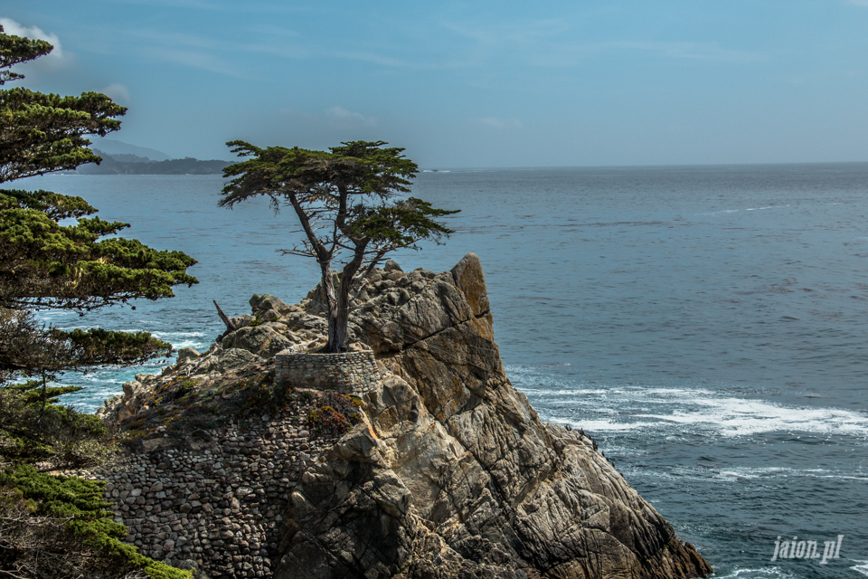 ameryka_usa_blog_big_sur_monterey_17_miles_drive_pacific_ocean-156