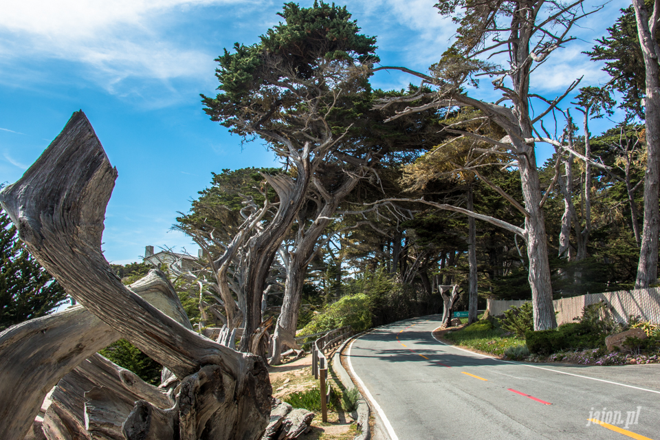 ameryka_usa_blog_big_sur_monterey_17_miles_drive_pacific_ocean-6