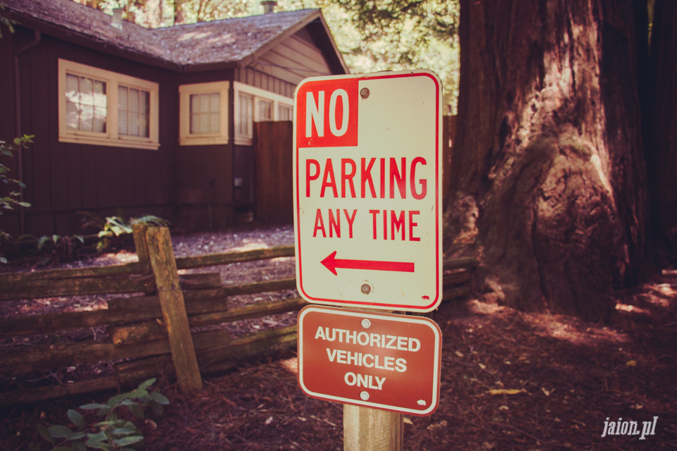 ameryka_usa_big_basin_redwood_state_park-10