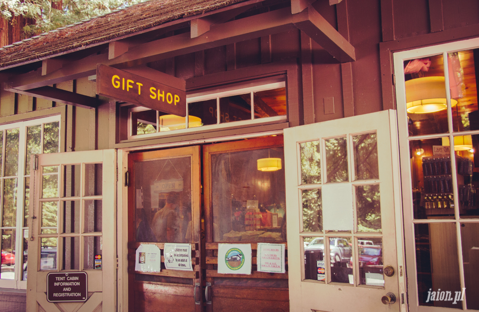 ameryka_usa_big_basin_redwood_state_park-13