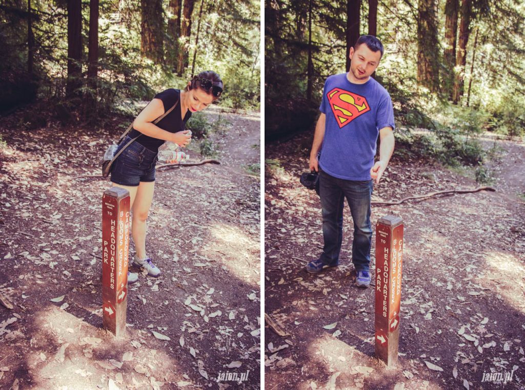 ameryka_usa_big_basin_redwood_state_park-28