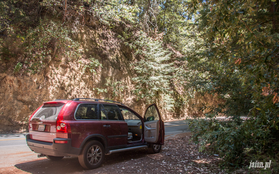ameryka_usa_big_basin_redwood_state_park-5