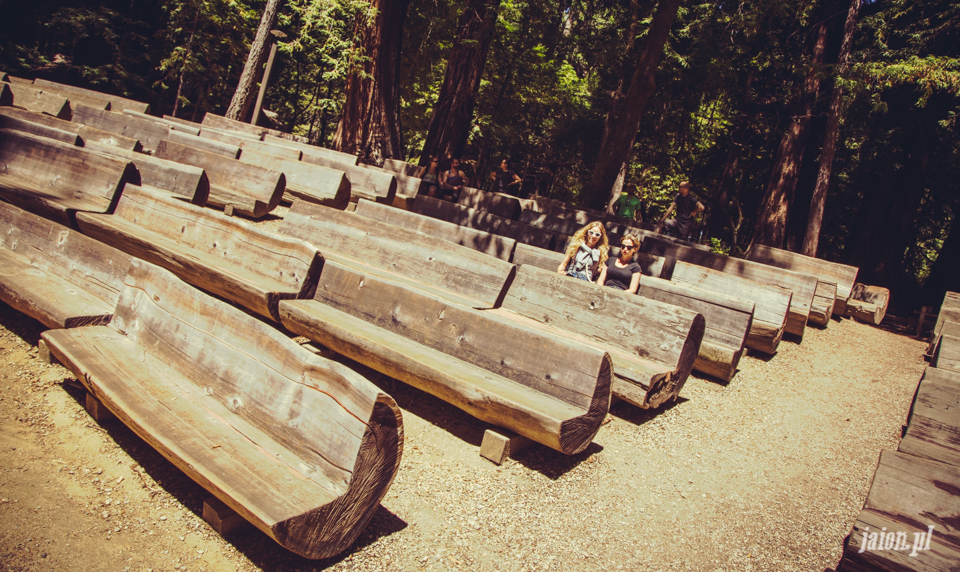 ameryka_usa_big_basin_redwood_state_park-50
