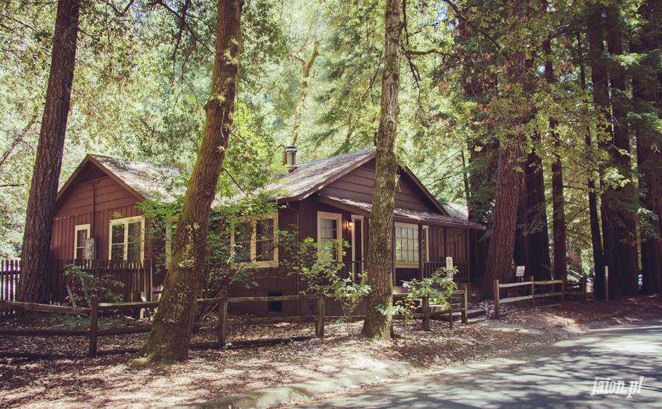 ameryka_usa_big_basin_redwood_state_park-9