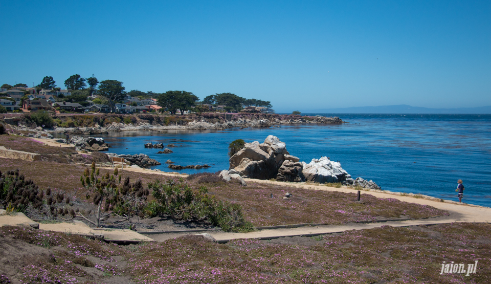 ameryka_usa_blog_monterey_kalifornia_pebble_beach_17_mile_drive_big_sur-104