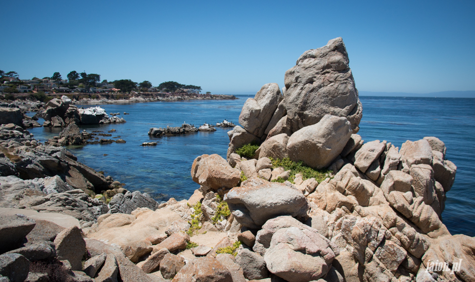 ameryka_usa_blog_monterey_kalifornia_pebble_beach_17_mile_drive_big_sur-107