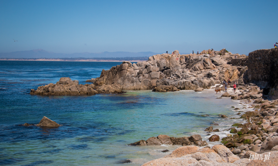 ameryka_usa_blog_monterey_kalifornia_pebble_beach_17_mile_drive_big_sur-110