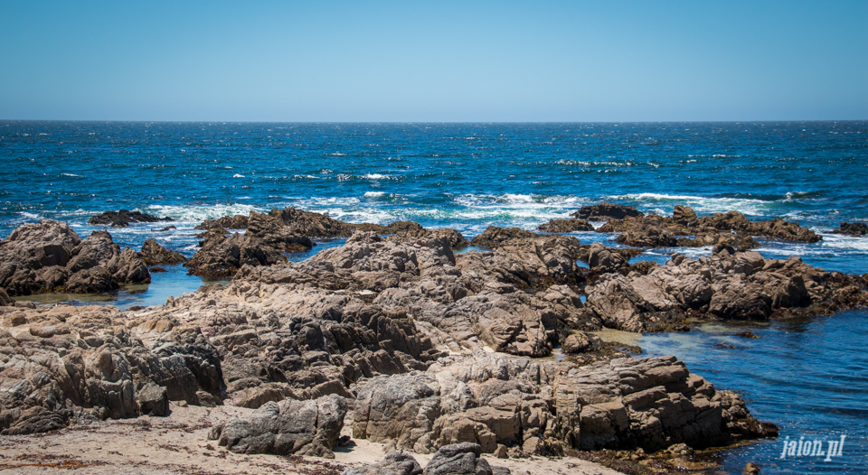 ameryka_usa_blog_monterey_kalifornia_pebble_beach_17_mile_drive_big_sur-111