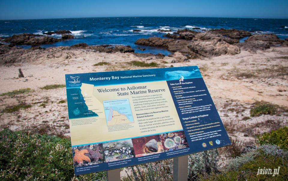 ameryka_usa_blog_monterey_kalifornia_pebble_beach_17_mile_drive_big_sur-112