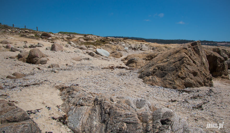 ameryka_usa_blog_monterey_kalifornia_pebble_beach_17_mile_drive_big_sur-156