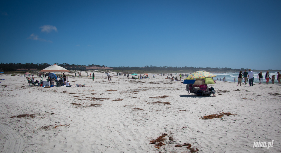 ameryka_usa_blog_monterey_kalifornia_pebble_beach_17_mile_drive_big_sur-149