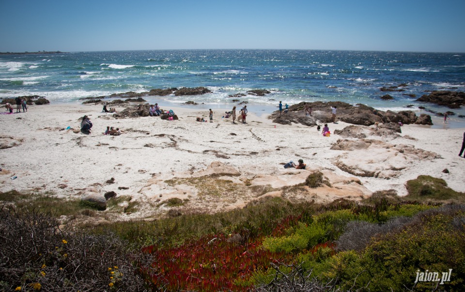 ameryka_usa_blog_monterey_kalifornia_pebble_beach_17_mile_drive_big_sur-148