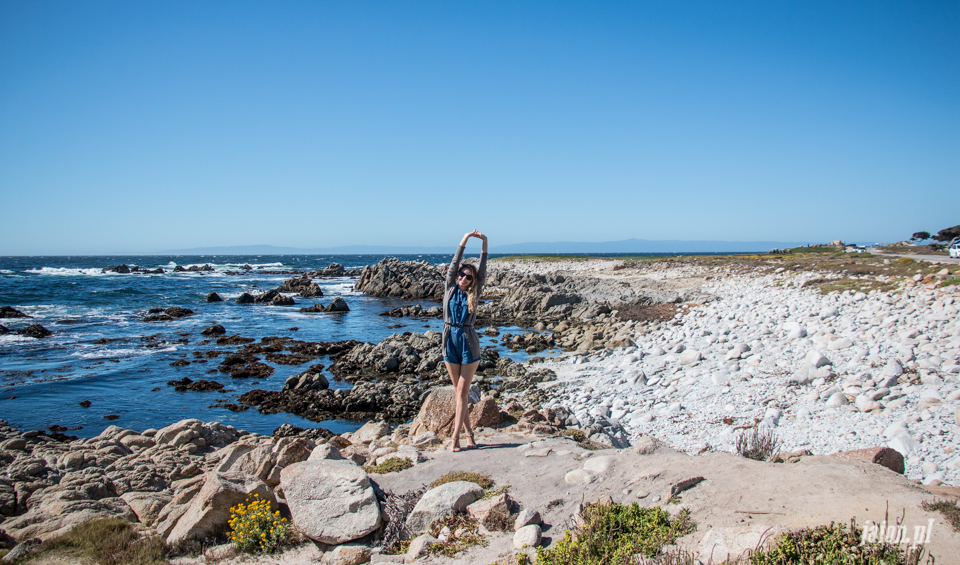ameryka_usa_blog_monterey_kalifornia_pebble_beach_17_mile_drive_big_sur-140