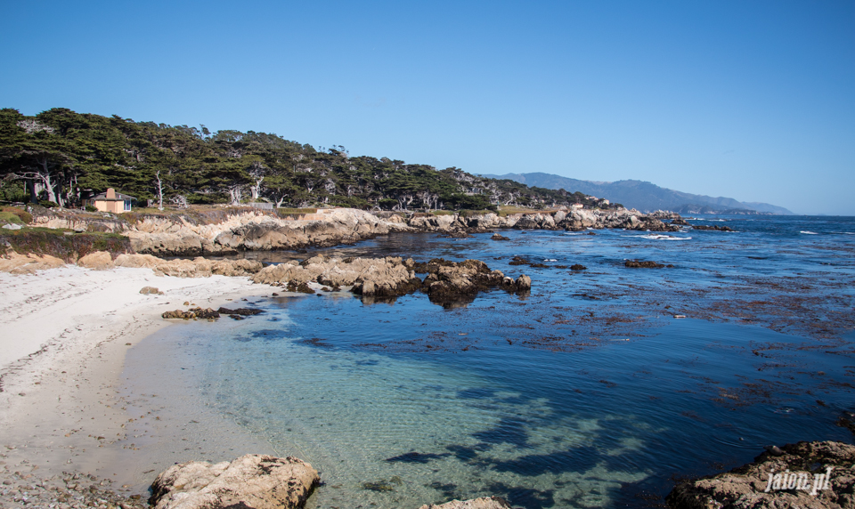 ameryka_usa_blog_monterey_kalifornia_pebble_beach_17_mile_drive_big_sur-136