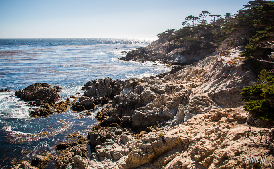 ameryka_usa_blog_monterey_kalifornia_pebble_beach_17_mile_drive_big_sur-134