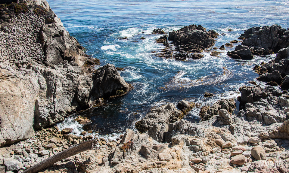 ameryka_usa_blog_monterey_kalifornia_pebble_beach_17_mile_drive_big_sur-133