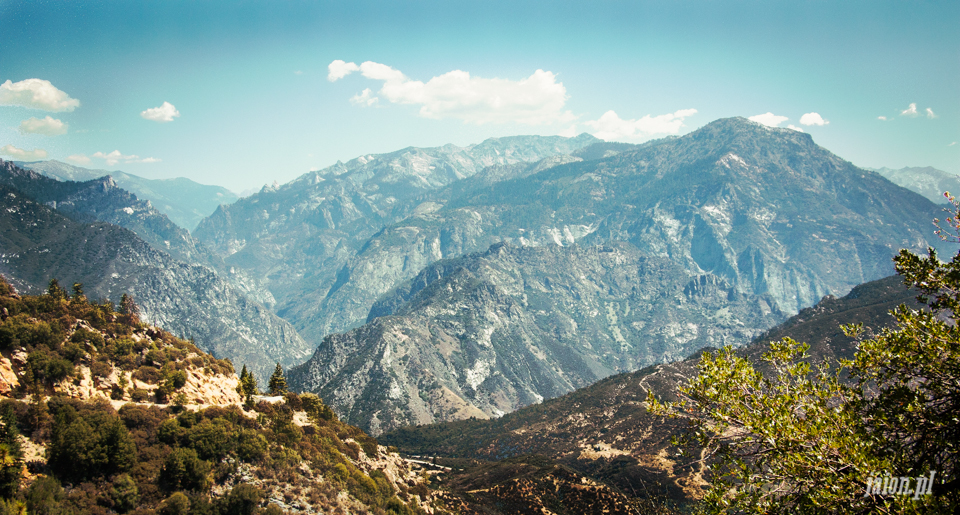 ameryka_usa_blog_sequoia_national_park-1