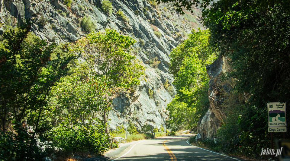 ameryka_usa_blog_sequoia_national_park-6